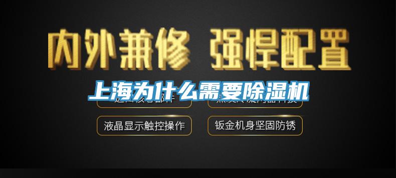 上海为什么需要91香蕉视频下载网站