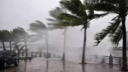 8月台风雨即将来，91香蕉视频下载网站还得用起来