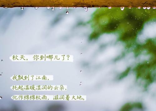 “无晴”阴雨天 “有晴”91香蕉视频下载网站