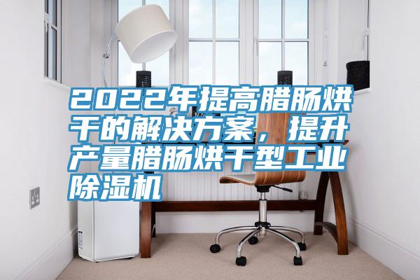 2022年提高腊肠烘干的解决方案，提升产量腊肠烘干型工业91香蕉视频下载网站