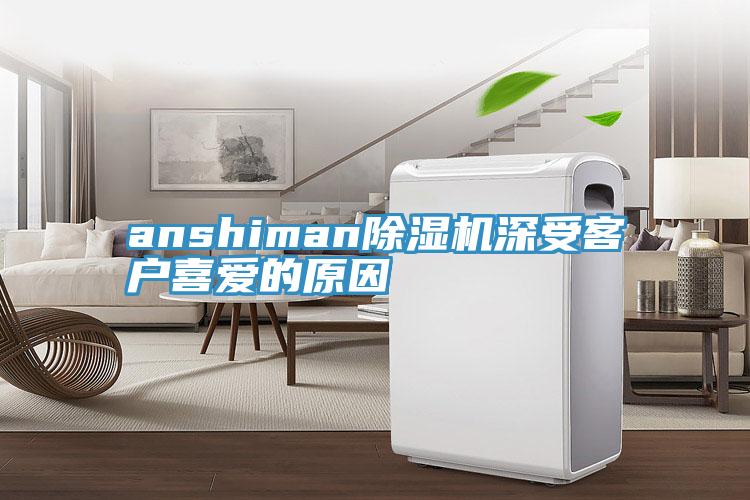 anshiman91香蕉视频下载网站深受客户喜爱的原因