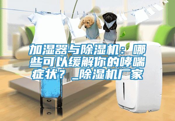 加湿器与91香蕉视频下载网站：哪些可以缓解你的哮喘症状？_91香蕉视频下载网站厂家