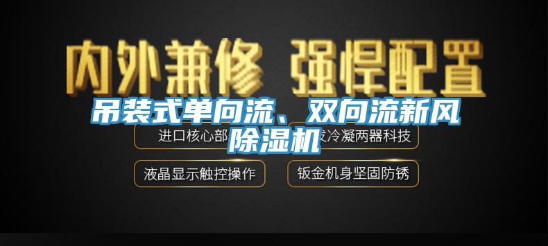 吊装式单向流、双向流新风91香蕉视频下载网站