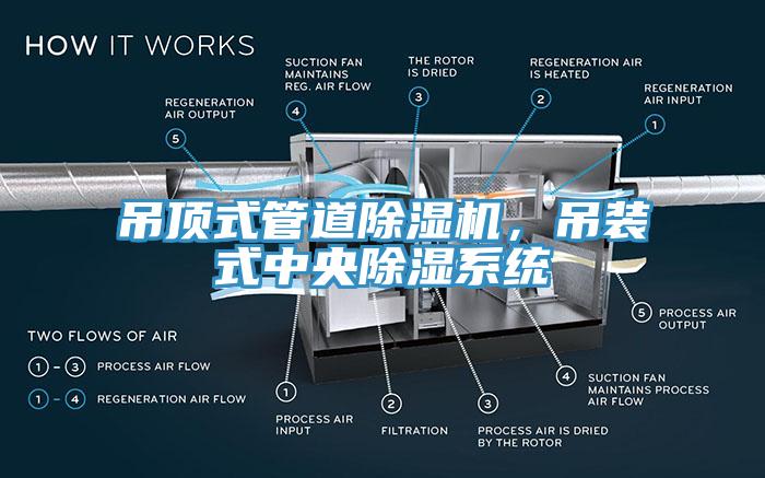 吊顶式管道91香蕉视频下载网站，吊装式中央除湿系统