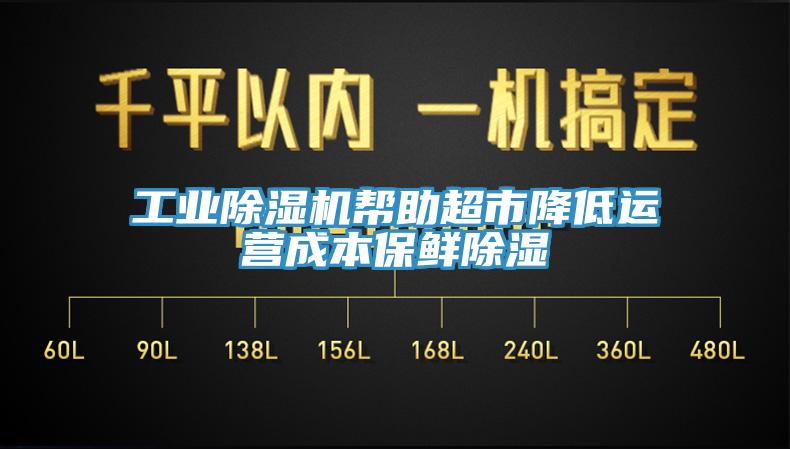 工业91香蕉视频下载网站帮助超市降低运营成本保鲜除湿