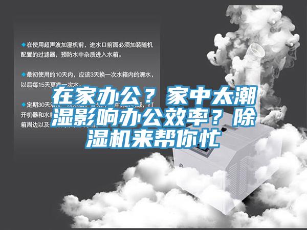 在家办公？家中太潮湿影响办公效率？91香蕉视频下载网站来帮你忙