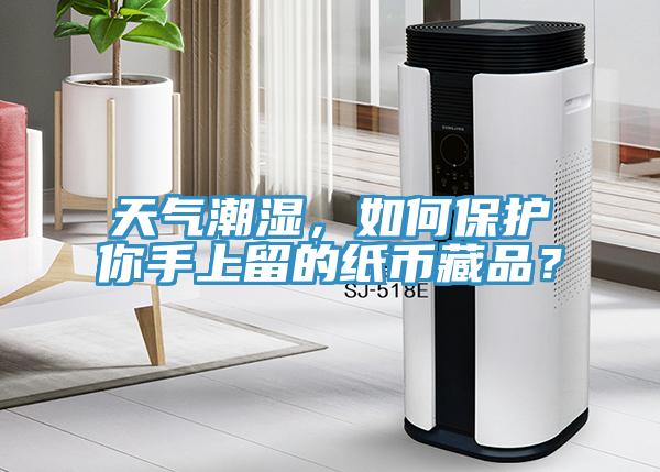 天气潮湿，如何保护你手上留的纸币藏品？