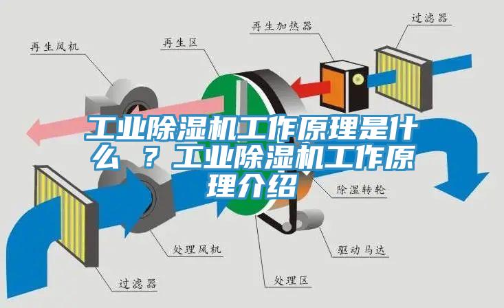 工业91香蕉视频下载网站工作原理是什么 ？工业91香蕉视频下载网站工作原理介绍