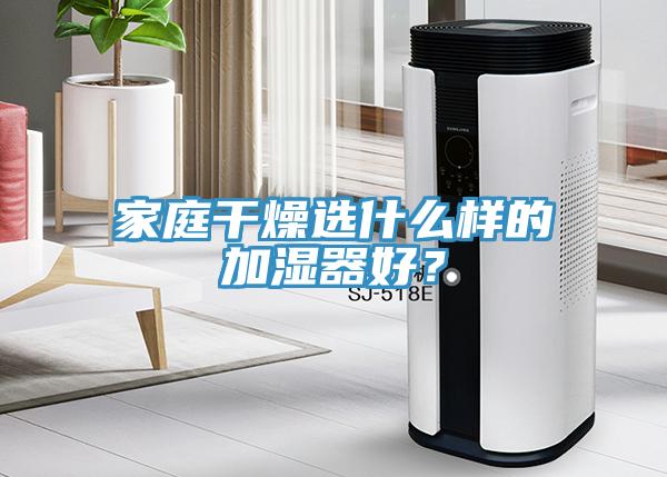 家庭干燥选什么样的加湿器好？