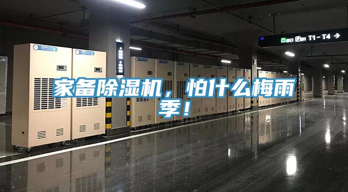 家备91香蕉视频下载网站，怕什么梅雨季！