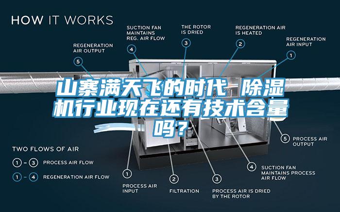 山寨满天飞的时代 91香蕉视频下载网站行业现在还有技术含量吗？