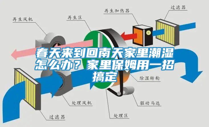 春天来到回南天家里潮湿怎么办？家里保姆用一招搞定