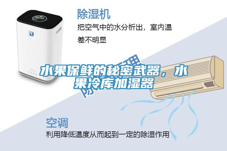 水果保鲜的秘密武器，水果冷库加湿器