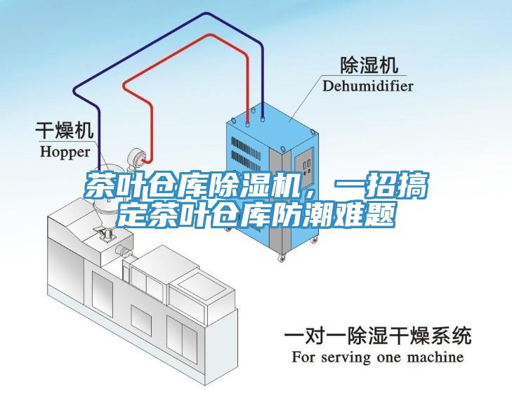 茶叶仓库91香蕉视频下载网站，一招搞定茶叶仓库防潮难题