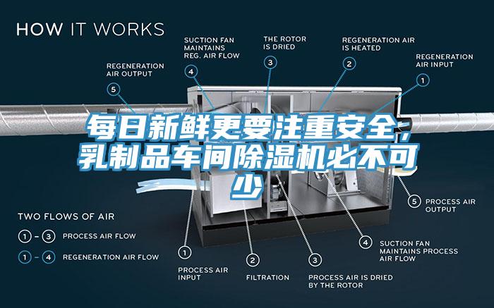 每日新鲜更要注重安全，乳制品车间91香蕉视频下载网站必不可少