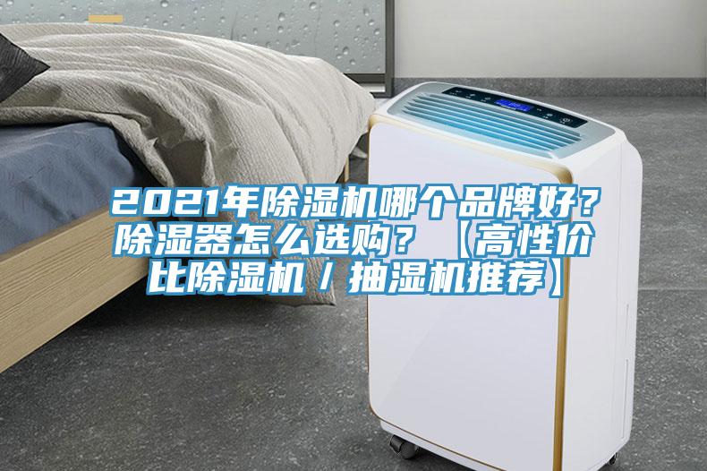 2021年91香蕉视频下载网站哪个品牌好？除湿器怎么选购？【高性价比91香蕉视频下载网站／抽湿机推荐】