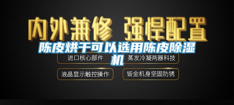 陈皮烘干可以选用陈皮91香蕉视频下载网站