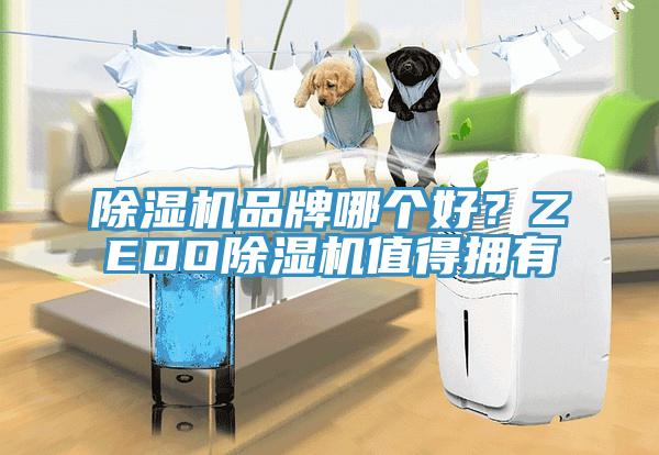 91香蕉视频下载网站品牌哪个好？ZEDO91香蕉视频下载网站值得拥有