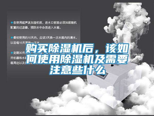 购买91香蕉视频下载网站后，该如何使用91香蕉视频下载网站及需要注意些什么