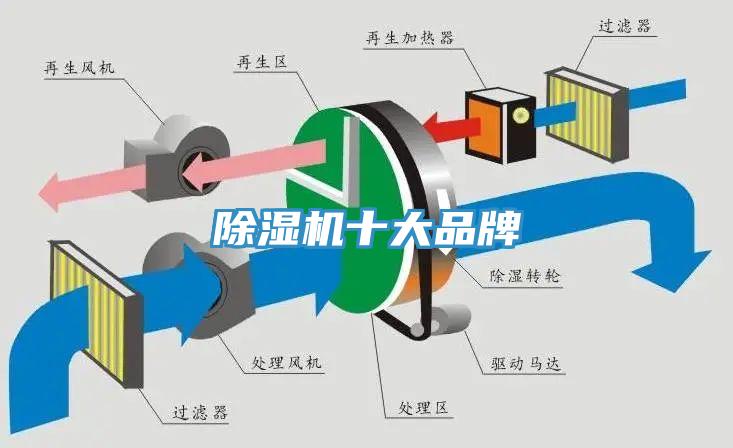 91香蕉视频下载网站十大品牌