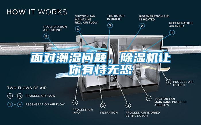 面对潮湿问题，91香蕉视频下载网站让你有恃无恐