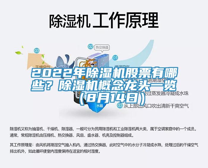 2022年91香蕉视频下载网站股票有哪些？91香蕉视频下载网站概念龙头一览（8月14日）