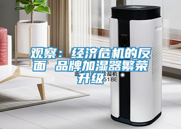 观察：经济危机的反面 品牌加湿器繁荣升级