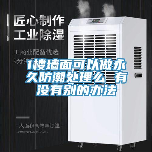 1楼墙面可以做永久防潮处理么 有没有别的办法