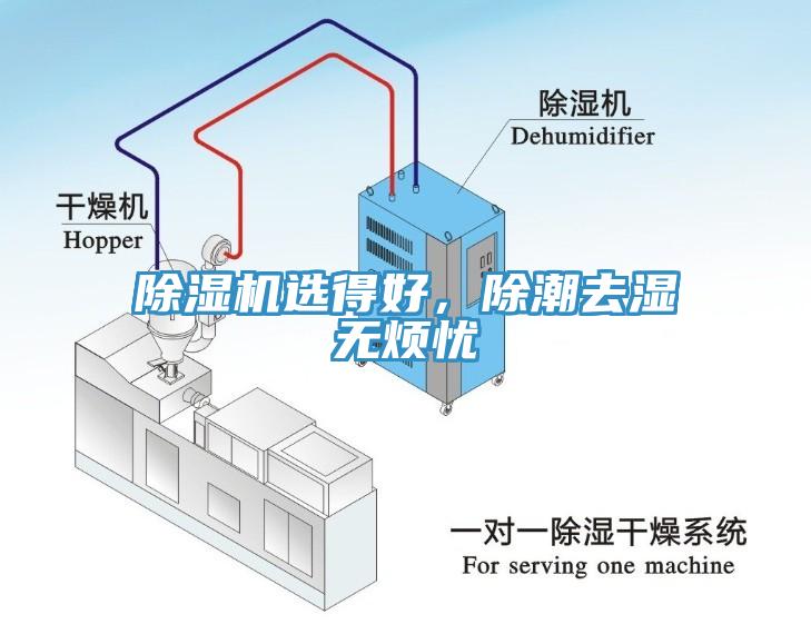 91香蕉视频下载网站选得好，除潮去湿无烦忧