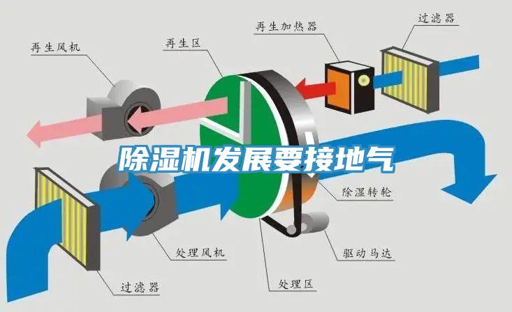 91香蕉视频下载网站发展要接地气