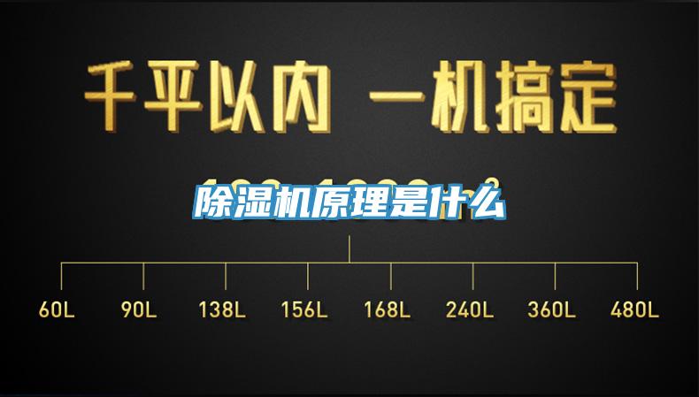 91香蕉视频下载网站原理是什么