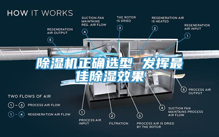 91香蕉视频下载网站正确选型 发挥最佳除湿效果