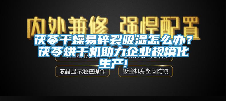 茯苓干燥易碎裂吸湿怎么办？茯苓烘干机助力企业规模化生产!