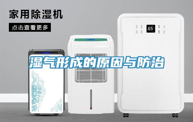 湿气形成的原因与防治