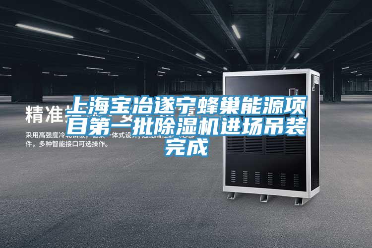 上海宝冶遂宁蜂巢能源项目第一批91香蕉视频下载网站进场吊装完成