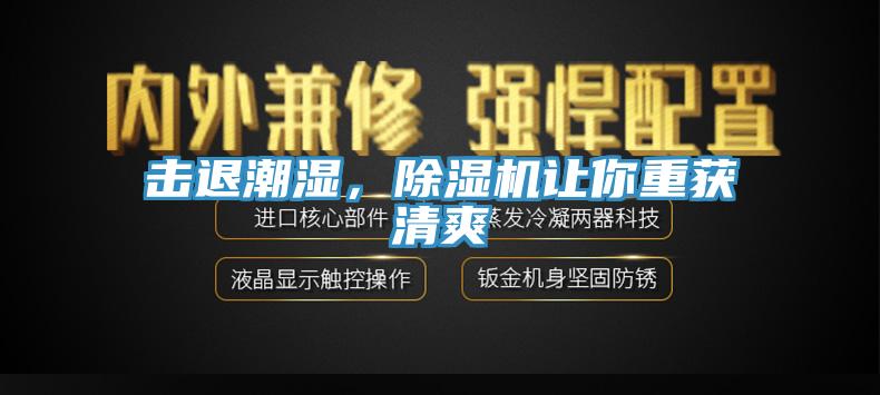 击退潮湿，91香蕉视频下载网站让你重获清爽