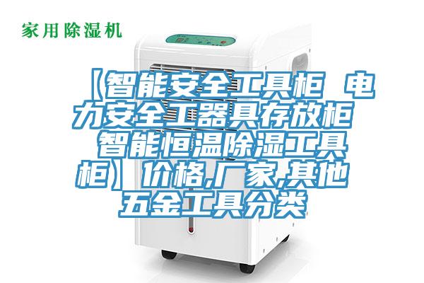 【智能安全工具柜 电力安全工器具存放柜 智能恒温除湿工具柜】价格,厂家,其他五金工具分类