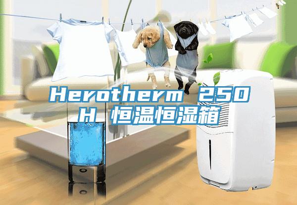 Herotherm 250H 恒温恒湿箱