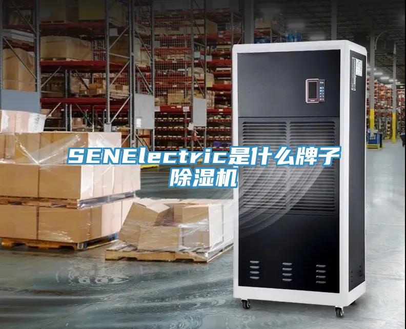 SENElectric是什么牌子91香蕉视频下载网站