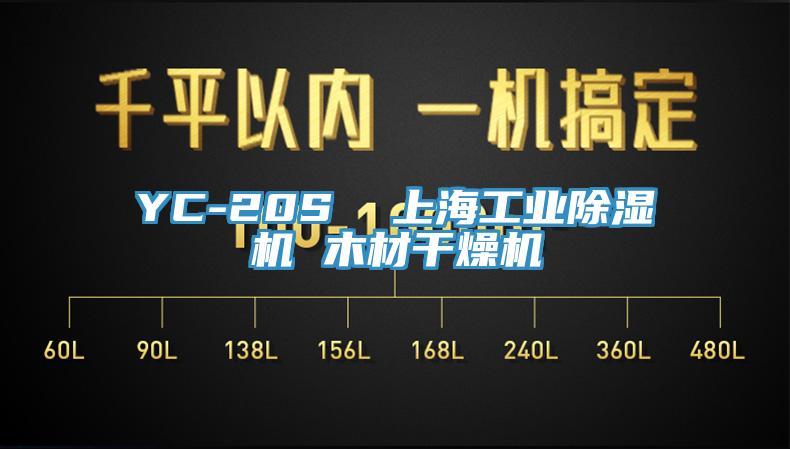 YC-20S  上海工业91香蕉视频下载网站 木材干燥机