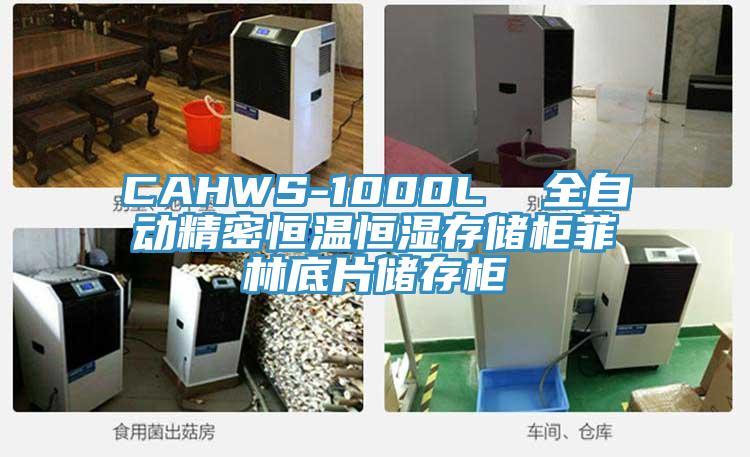 CAHWS-1000L  全自动精密恒温恒湿存储柜菲林底片储存柜