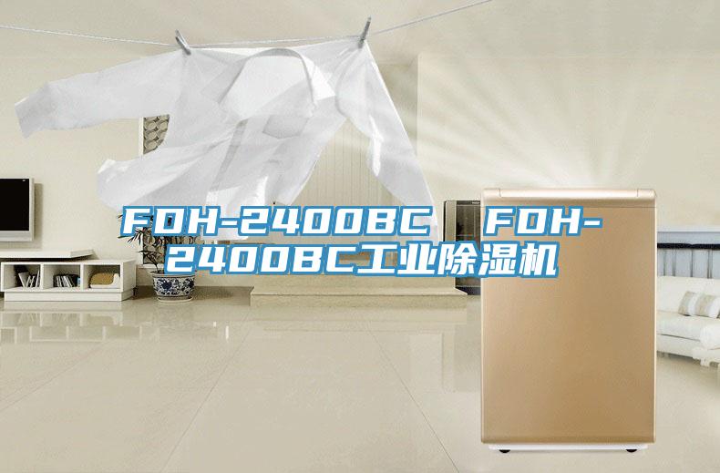 FDH-2400BC  FDH-2400BC工业91香蕉视频下载网站