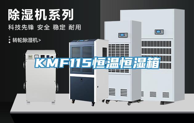 KMF115恒温恒湿箱