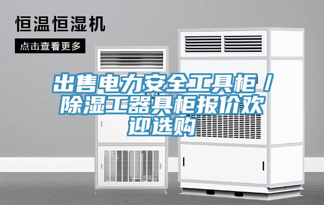 出售电力安全工具柜／除湿工器具柜报价欢迎选购