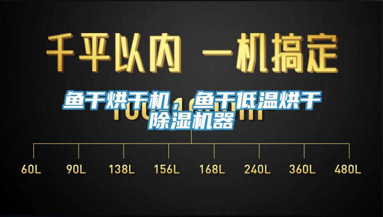 鱼干烘干机，鱼干低温烘干91香蕉视频下载网站器