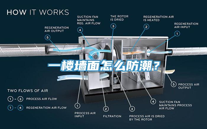 一楼墙面怎么防潮？