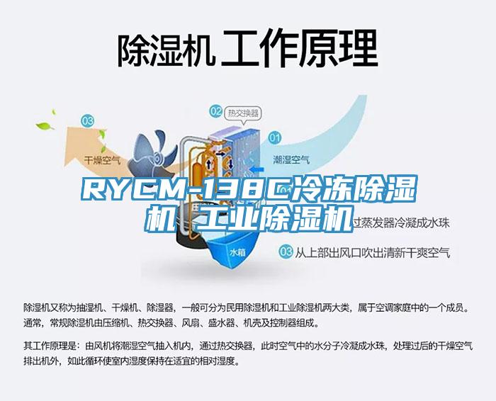 RYCM-138C冷冻91香蕉视频下载网站 工业91香蕉视频下载网站