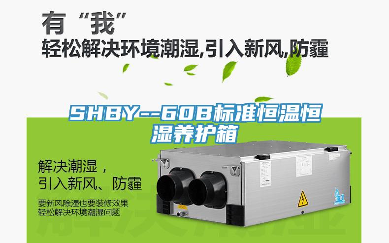 SHBY--60B标准恒温恒湿养护箱