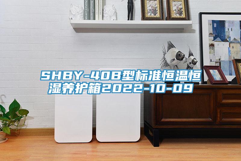 SHBY-40B型标准恒温恒湿养护箱2022-10-09