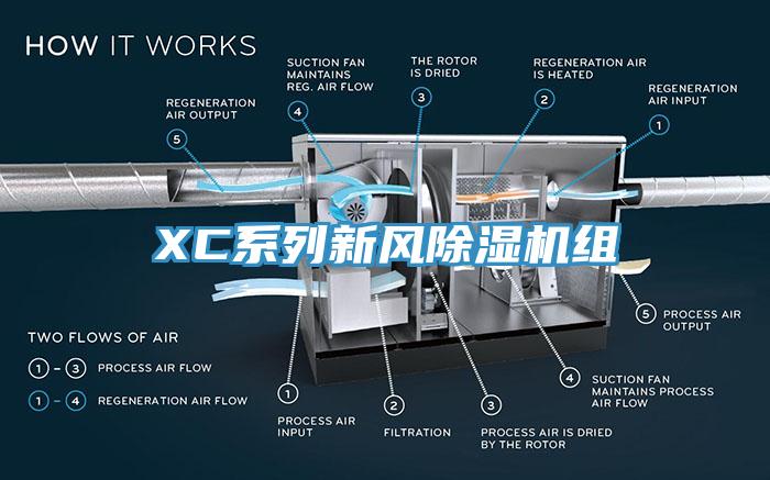 XC系列新风91香蕉视频下载网站组